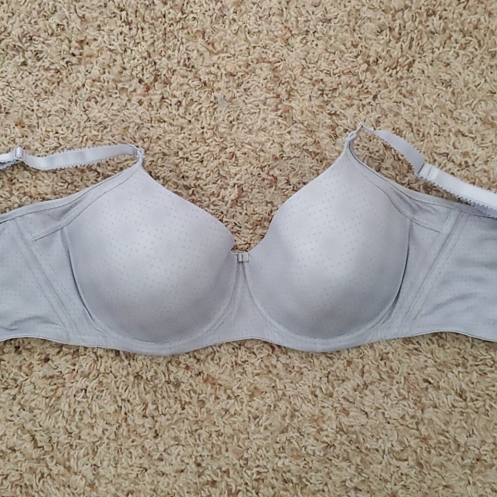 Modern movement Dillard's bra 36 d